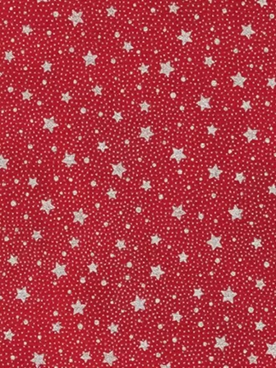 ROBERT KAUFMAN FABRICS - HOLIDAY FLOURISH par Studio RK 19259.93