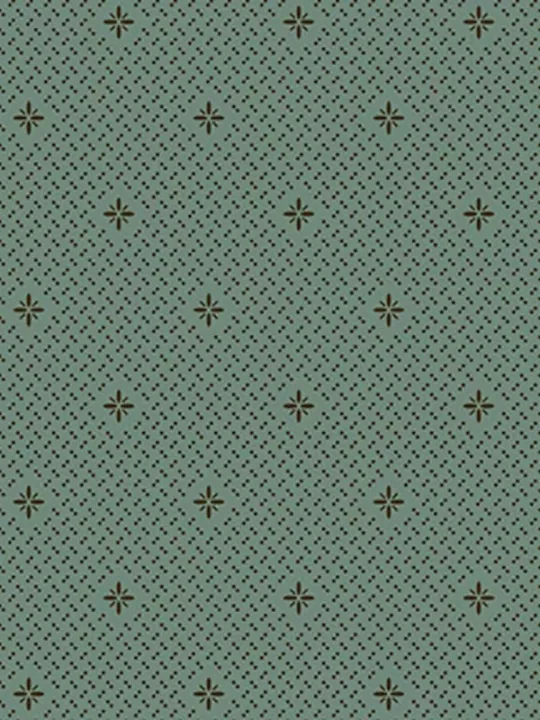 ANDOVER FABRICS - ACORN HARVEST par Renee Nanneman Réf 9804-T