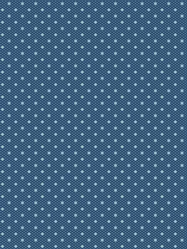 ANDOVER FABRICS - SPRINKLES par Edyta Sitar A-454-B Navy