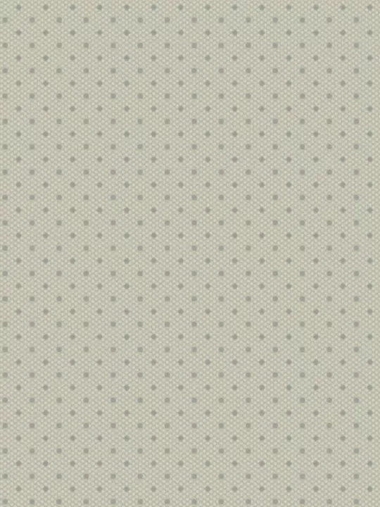 ANDOVER FABRICS - SPRINKLES par Edyta Sitar A-454-C2 Light Gray