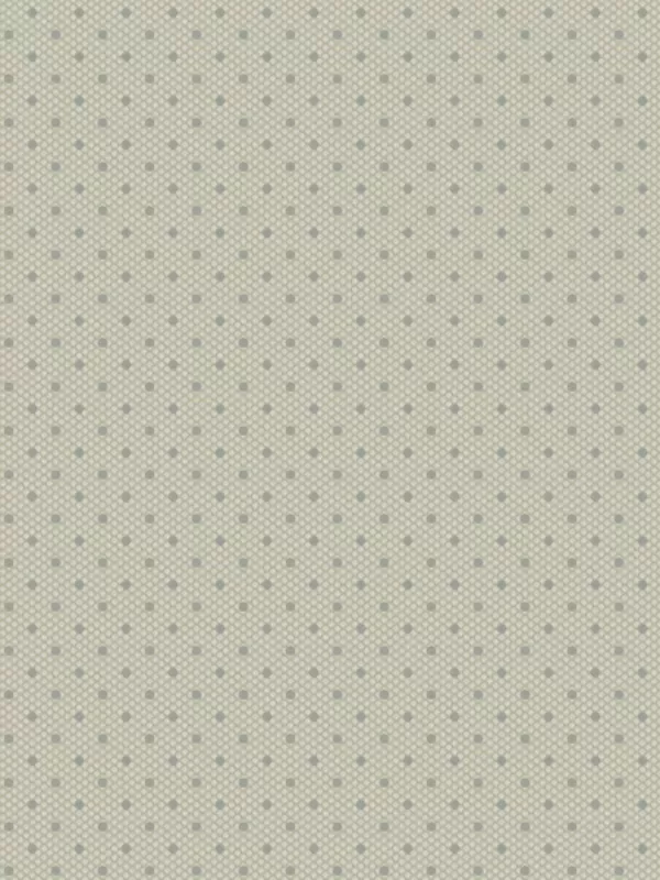 ANDOVER FABRICS - SPRINKLES par Edyta Sitar A-454-C2 Light Gray