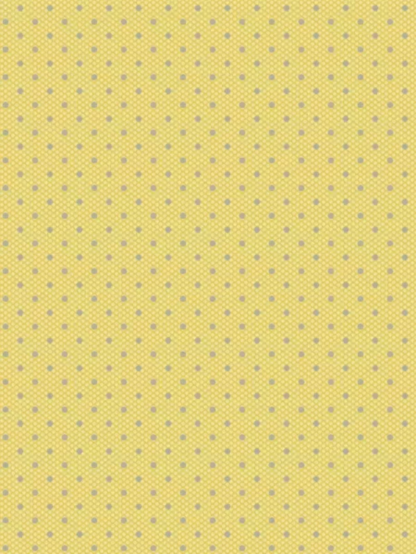 ANDOVER FABRICS - SPRINKLES par Edyta Sitar A-454-Y Yellow