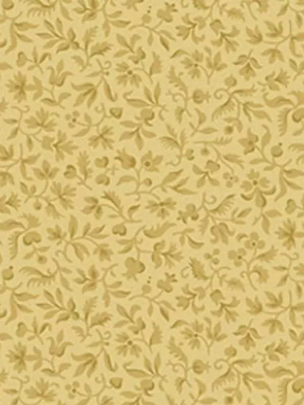 ANDOVER FABRICS - TRINKETS 2020 par Kathy Hall Réf 8999-LN