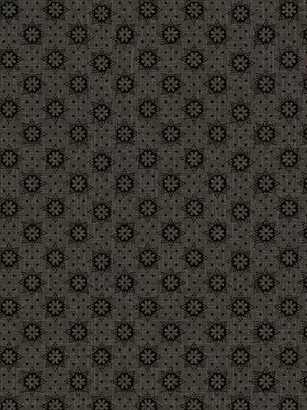 MARCUS FABRICS - CHEDDAR & COAL par Pam Buda R1767 Compass Rose Gray