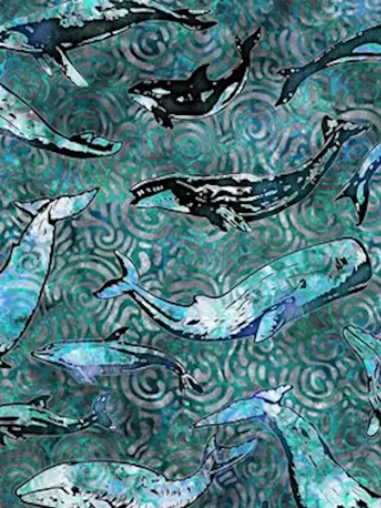 Tissus QT FABRICS - AQUATICA par Dan Morris Réf 28120.Q Whales Teal