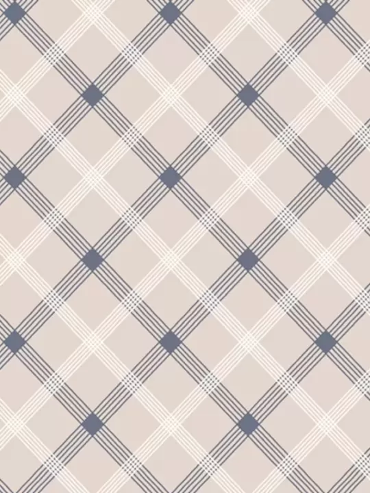 WINDHAM FABRICS - SKETCHBOOK par Whistler Studios 53086.4 Bias Plaid Beige