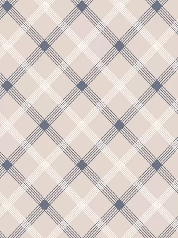 WINDHAM FABRICS - SKETCHBOOK par Whistler Studios 53086.4 Bias Plaid Beige