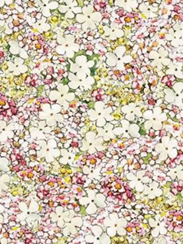 MICHAEL MILLER FABRICS - SONGS OF THE FLOWER FAIRIES 9276.CREAM