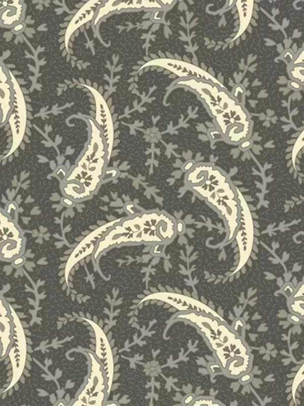 WINDHAM FABRICS - TRAVELER par Jeanne Horton 52913-7 Paisley Obsidian