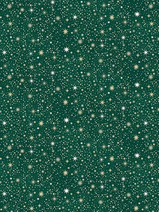 MAKOWER - Tissu Patchwork ENCHANTED CHRISTMAS 028-G Celestial Green