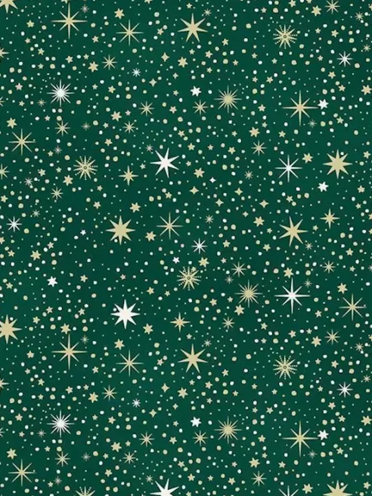 MAKOWER - Tissu Patchwork ENCHANTED CHRISTMAS 028-G Celestial Green