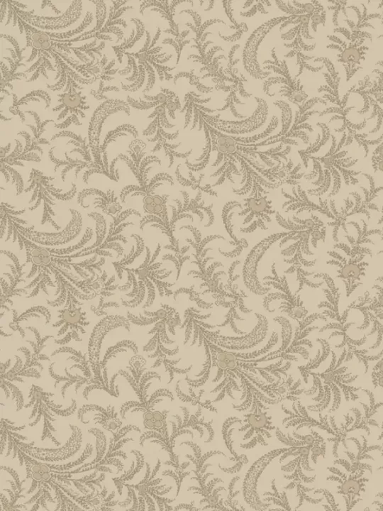 WINDHAM FABRICS - OXFORD par Mary Koval 53891-4 Delicate Paisley Almond