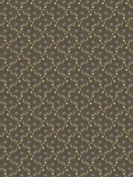 WINDHAM FABRICS - OXFORD par Mary Koval 53892-5 Flower Drops Brown