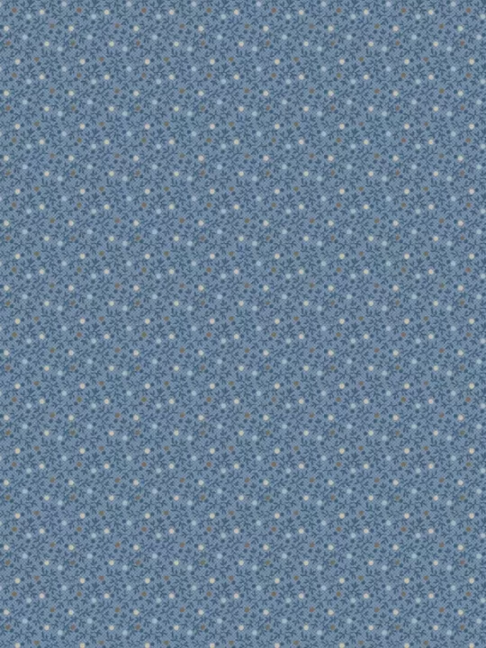 WINDHAM FABRICS - OXFORD par Mary Koval 53893-6 Dottie Chambray