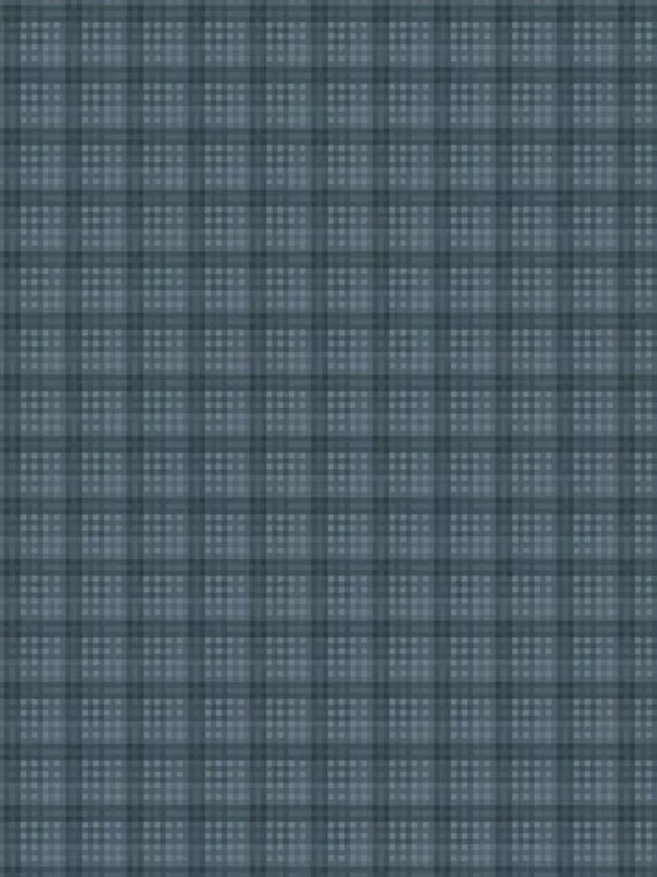 WINDHAM FABRICS - OXFORD par Mary Koval 53894-1 Plaid Blue