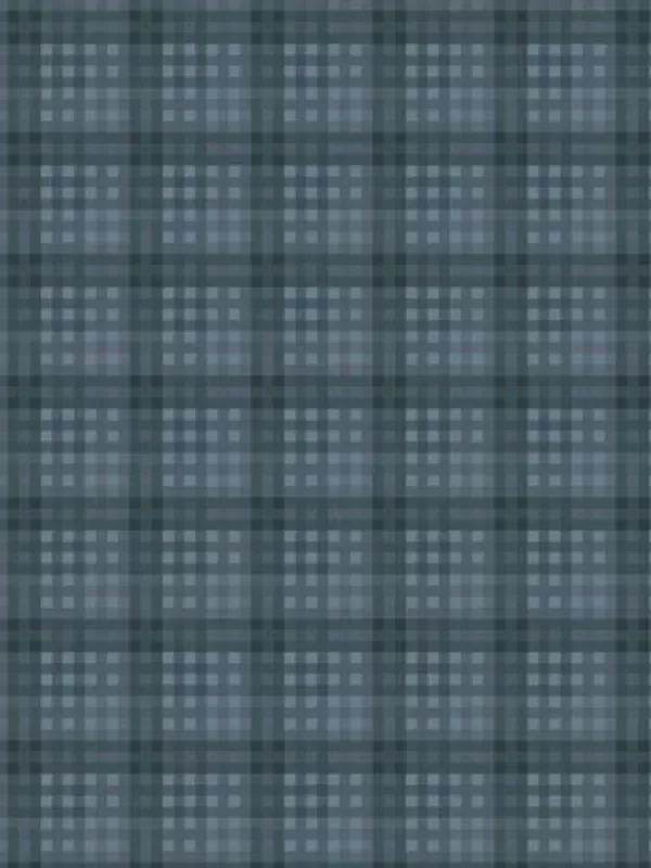 WINDHAM FABRICS - OXFORD par Mary Koval 53894-1 Plaid Blue