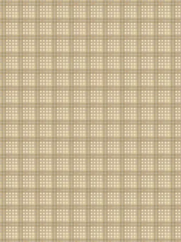 WINDHAM FABRICS - OXFORD par Mary Koval 53894-4 Plaid Almond