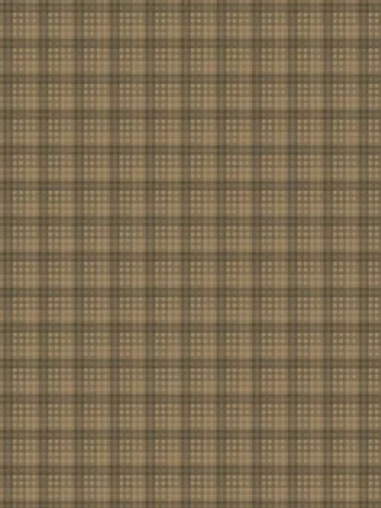 WINDHAM FABRICS - OXFORD par Mary Koval 53894-7 Plaid Cocoa