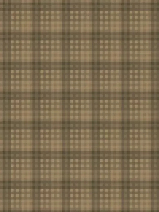 WINDHAM FABRICS - OXFORD par Mary Koval 53894-7 Plaid Cocoa