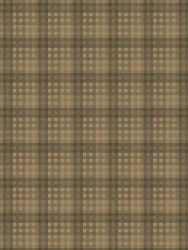 WINDHAM FABRICS - OXFORD par Mary Koval 53894-7 Plaid Cocoa