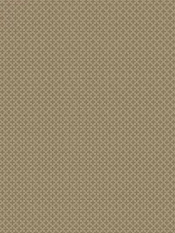 WINDHAM FABRICS - OXFORD par Mary Koval 53895-2 Micro Quatrefoil Taupe