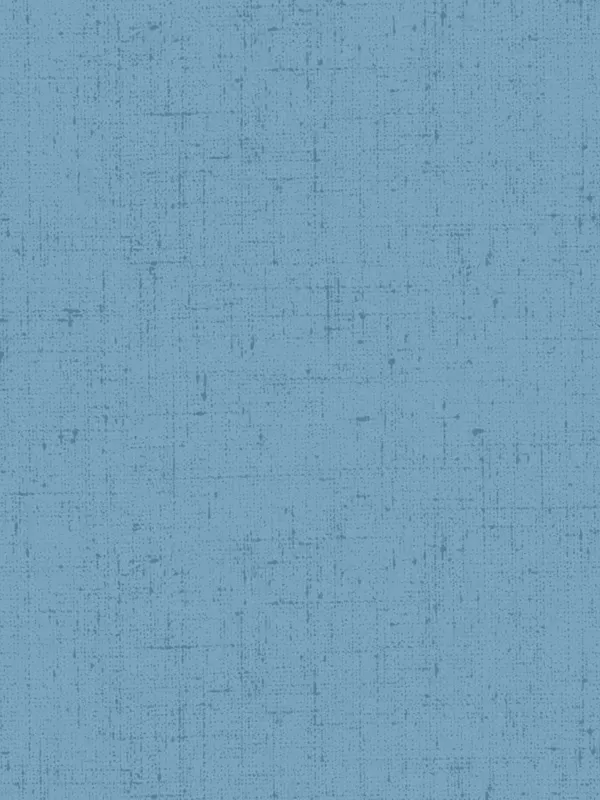 ANDOVER FABRICS - COTTAGE CLOTH 2 par Renée Nanneman 428.B2 Chambray