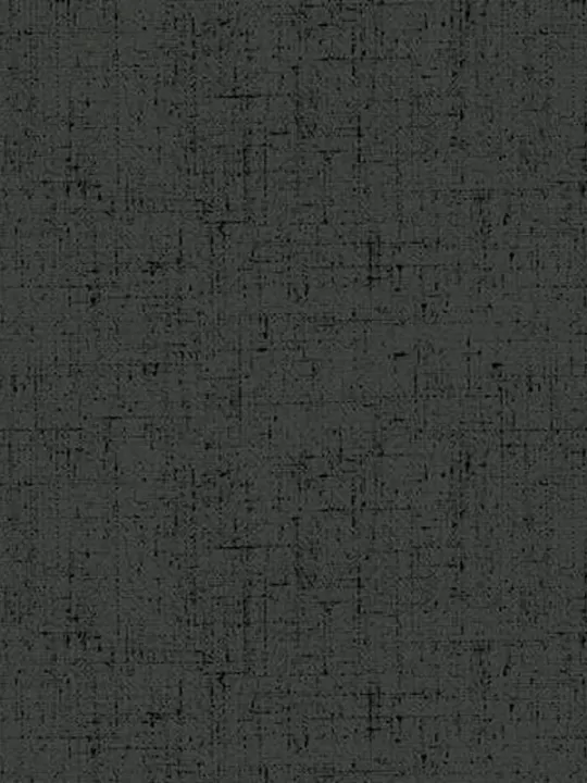 ANDOVER FABRICS - COTTAGE CLOTH par Renée Nanneman 428.K Charcoal