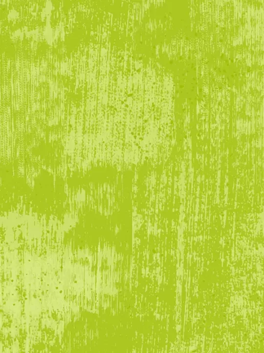 ANDOVER FABRICS - GLAZE par Libs Elliott 830-V2 Sour Apple