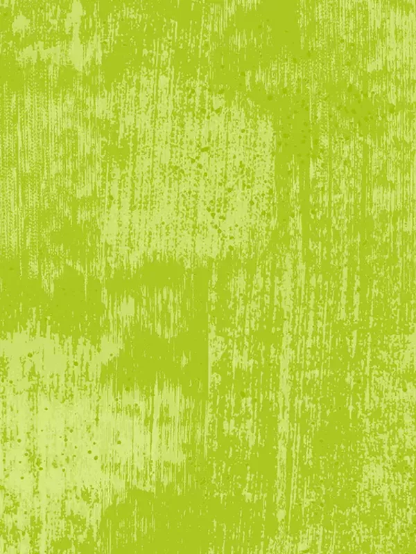 ANDOVER FABRICS - GLAZE par Libs Elliott 830-V2 Sour Apple