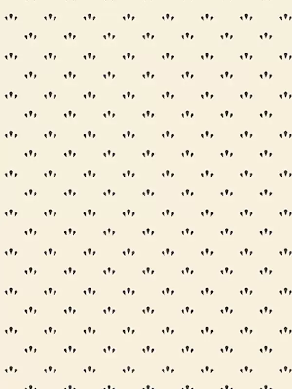 MARCUS FABRICS - EVERYDAY ESSENTIALS par Sheryl Johnson R310898D Cream One