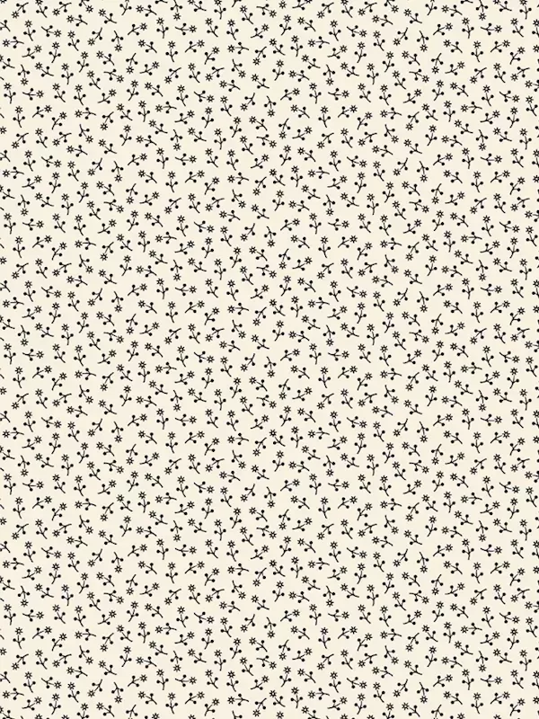 MARCUS FABRICS - EVERYDAY ESSENTIALS par Sheryl Johnson R310899D Cream Two