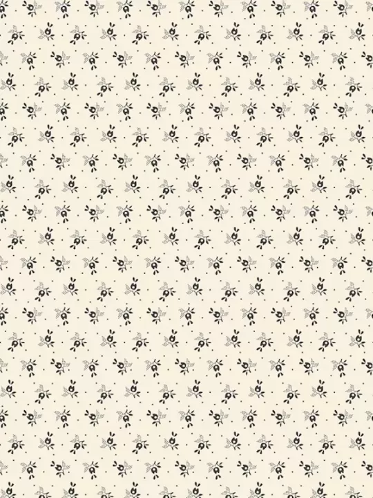 MARCUS FABRICS - EVERYDAY ESSENTIALS par Sheryl Johnson R310905D Cream Eight