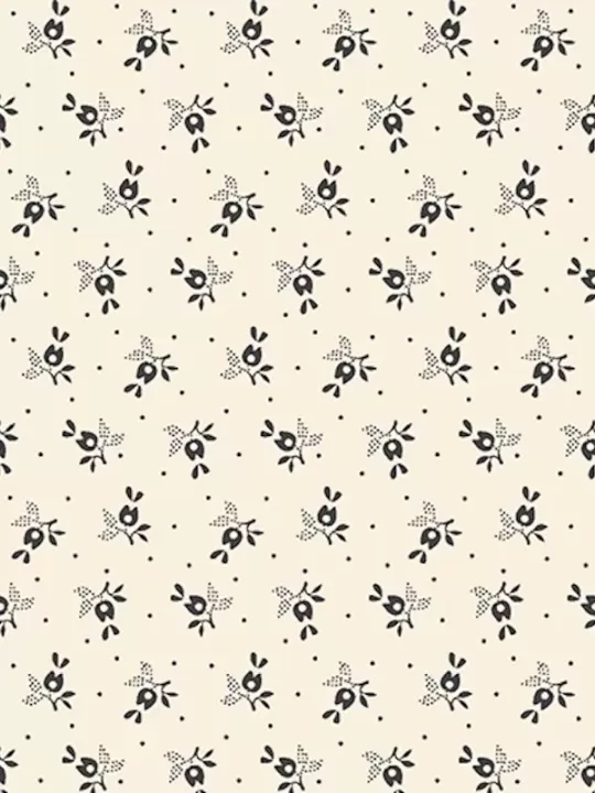 MARCUS FABRICS - EVERYDAY ESSENTIALS par Sheryl Johnson R310905D Cream Eight