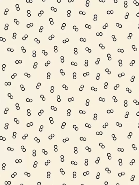 MARCUS FABRICS - EVERYDAY ESSENTIALS par Sheryl Johnson R310906D Cream Nine