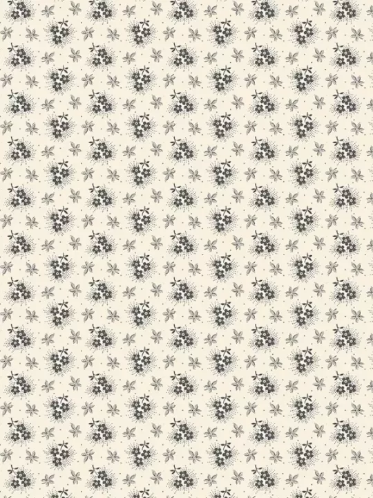 MARCUS FABRICS - EVERYDAY ESSENTIALS par Sheryl Johnson R310907D Cream Ten