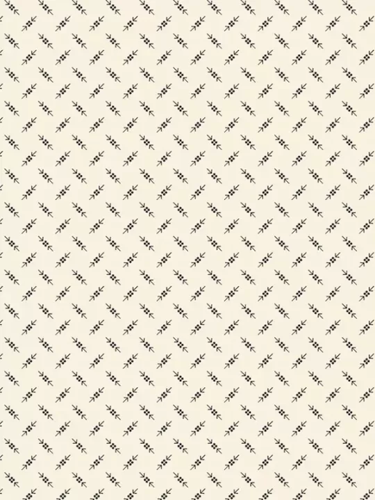 MARCUS FABRICS - EVERYDAY ESSENTIALS par Sheryl Johnson R310909D Cream Twelve