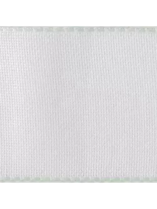 DMC Galon à broder Toile Aïda Coton 5cm Blanc Feston Vert